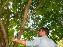 Gardena Pruning Loppers TeleCut 650-900 B -Gardena 12009 20 gardena pruning loppers telecut 650 900 b 3