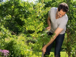 Gardena NatureLine Spade -Gardena 17001 20 gardena natureline pointed spade 4 1