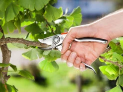 Gardena Premium Bypass Secateurs -Gardena 8702 20 gardena premium bypass secateurs 2