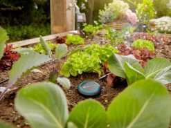 Gardena Soil Moisture Sensor -Gardena 967926801 gardena soil moisture sensor 3