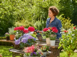 Gardena Pump Sprayer 1L -Gardena 970462701 gardena pump sprayer 1l 6