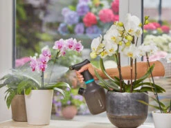 Gardena Pump Sprayer 1L -Gardena 970462701 gardena pump sprayer 1l 8