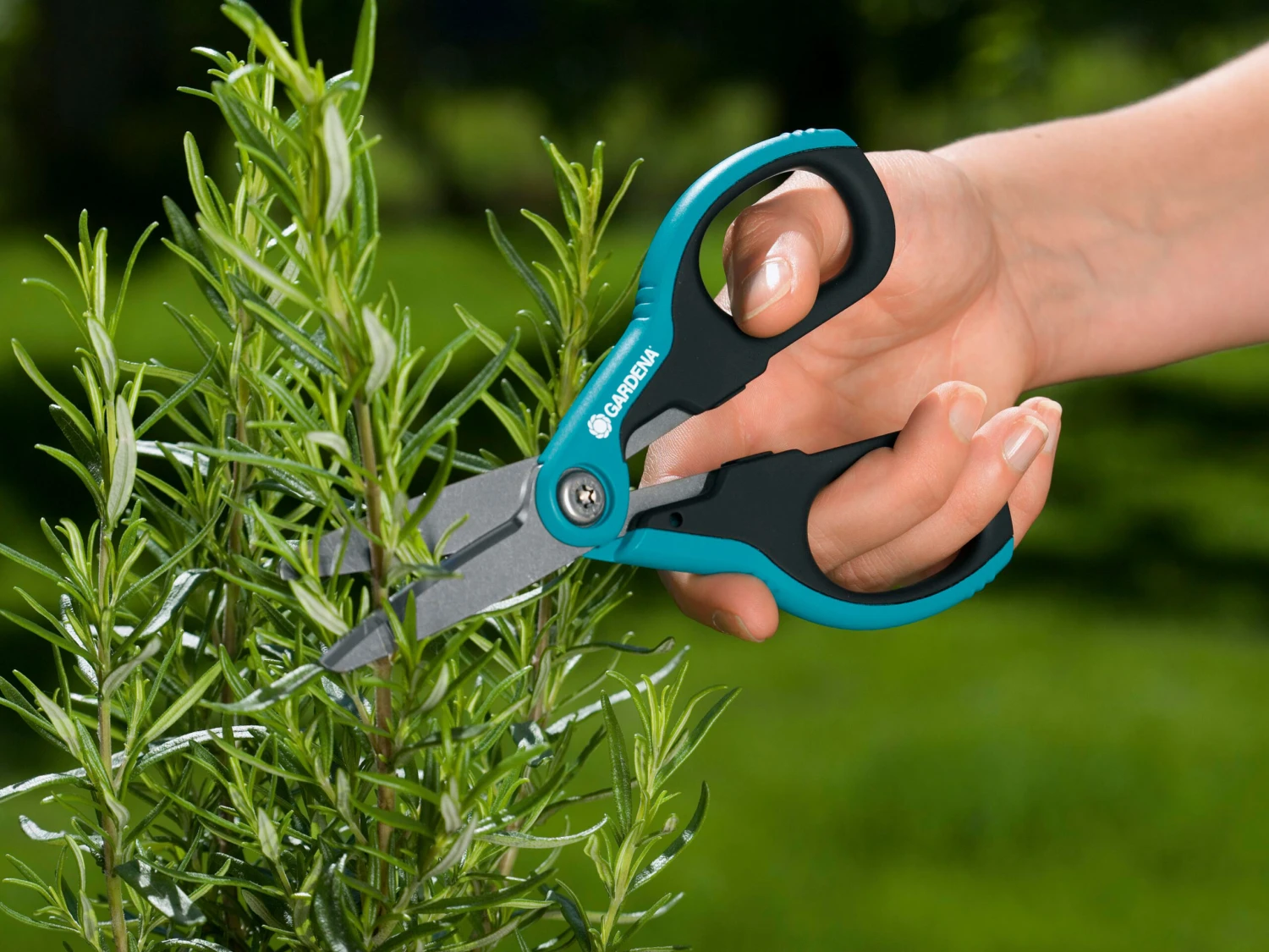 Gardena SchnippSchnapp Secateur Scissors 5 Gardena SchnippSchnapp Secateur Scissors - Image 3